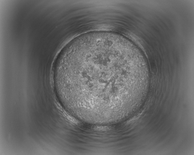 X0000074970835200609221821