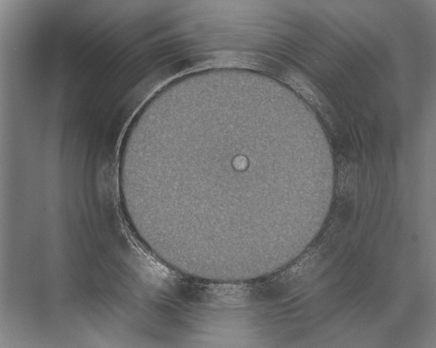 X0000074970836200609221821