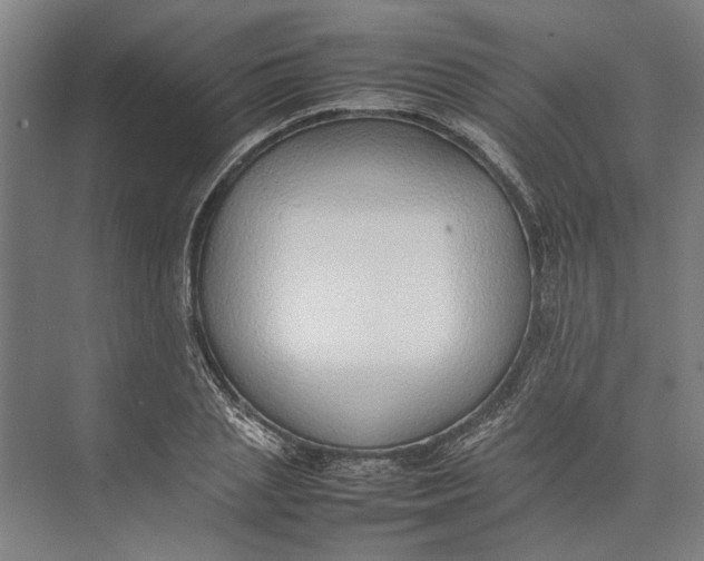 X0000074970837200609221821