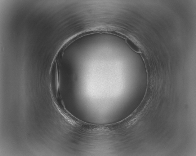 X0000074970838200609221821