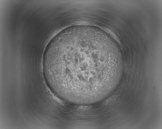 X0000074970839200609221821