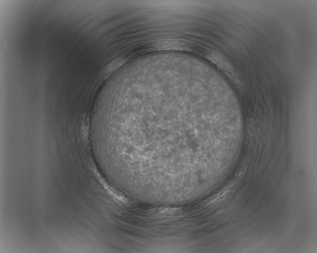 X0000074970841200609221821