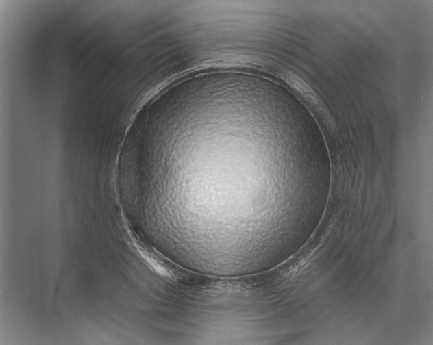 X0000074970842200609221821