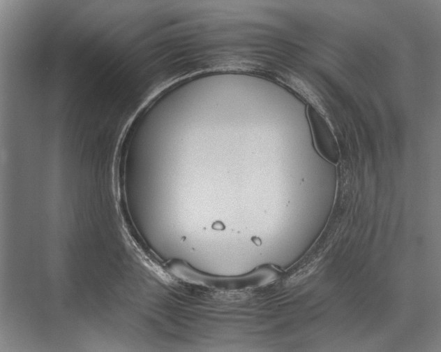 X0000074970843200609221821