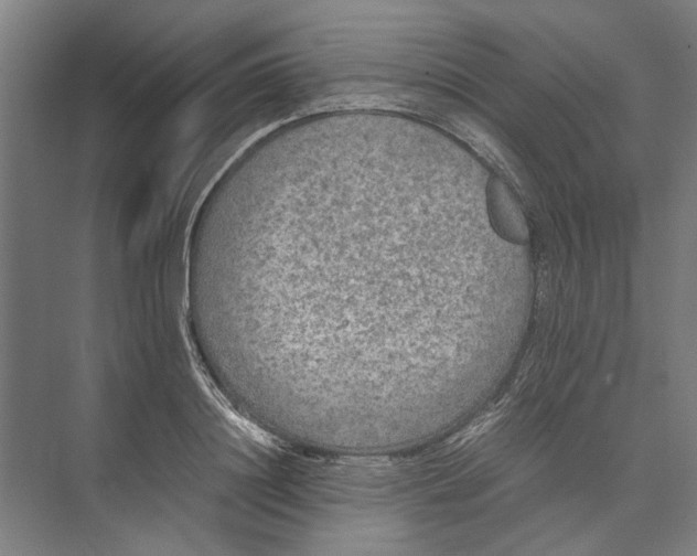 X0000074970844200609221821