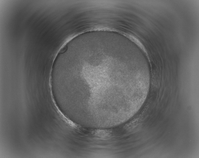 X0000074970847200609221821