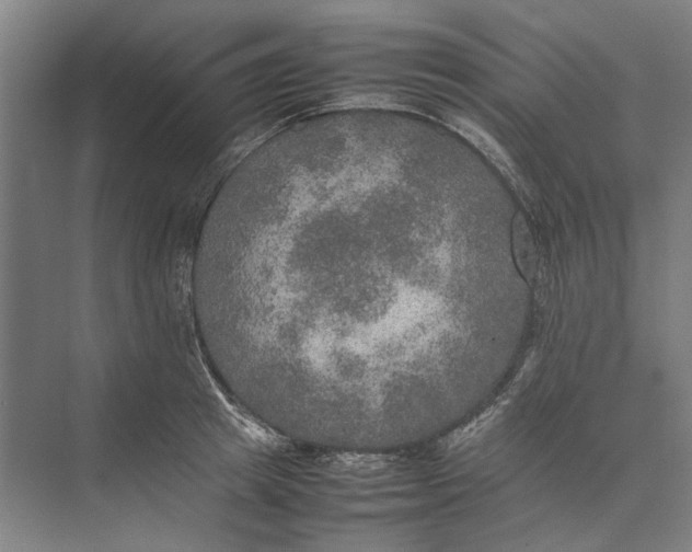 X0000074970849200609221821