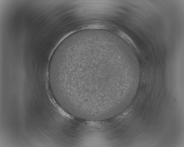 X0000074970852200609221821