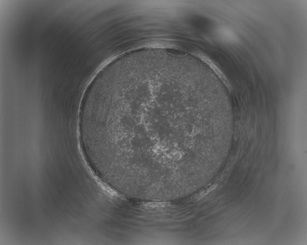 X0000074970853200609221821