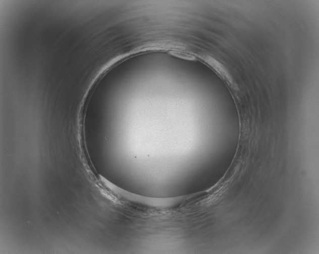 X0000074970854200609221821