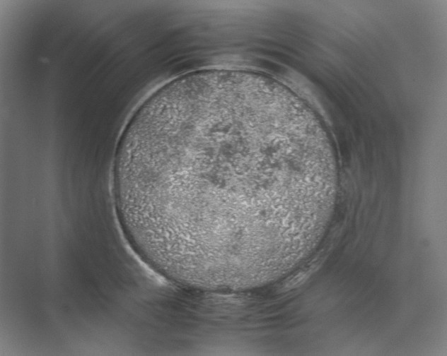 X0000074970855200609221821