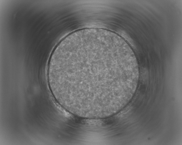 X0000074970856200609221821