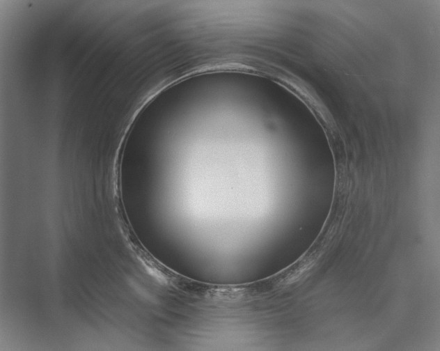 X0000074970858200609221821