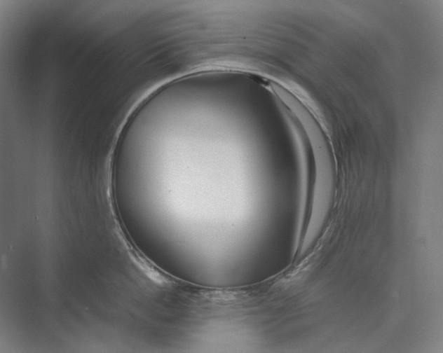 X0000074970862200609221821