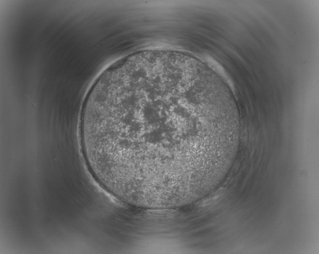 X0000074970863200609221821