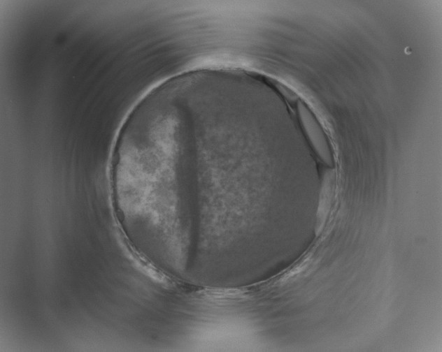 X0000074970864200609221821