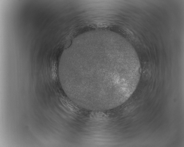 X0000074970866200609221820