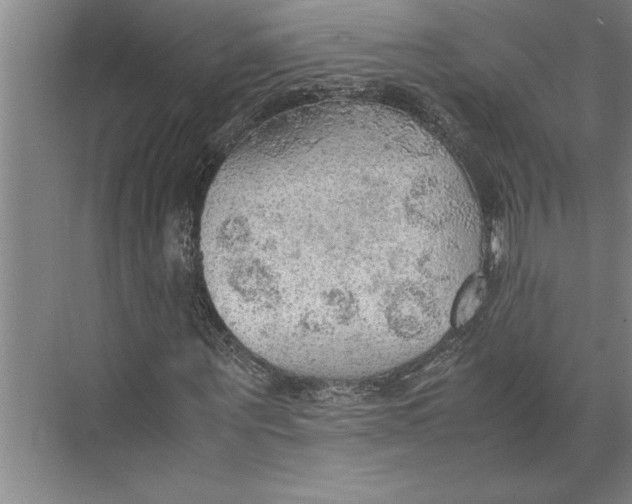 X0000074970867200609221820