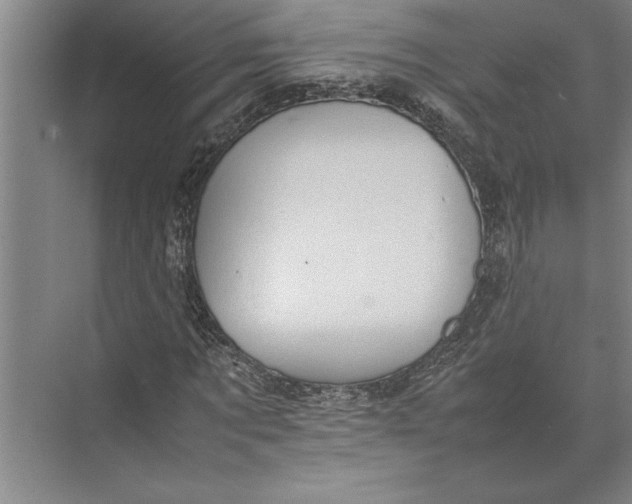 X0000074970869200609221820