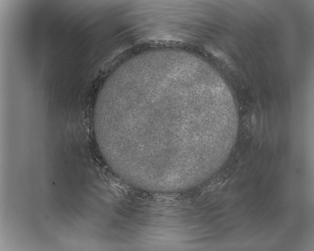 X0000074970870200609221820