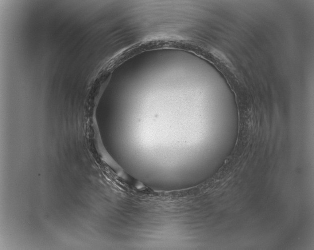 X0000074970872200609221820