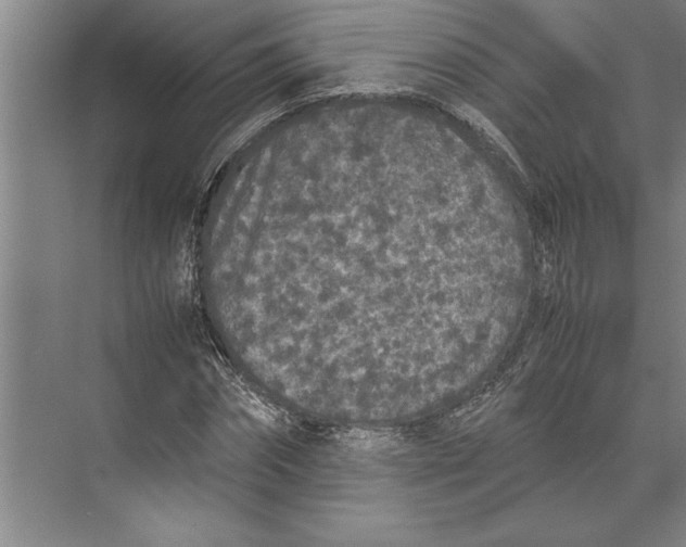 X0000074970874200609221820