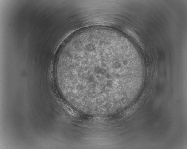 X0000074970875200609221820