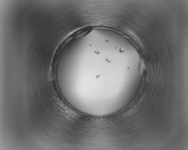 X0000074970876200609221820