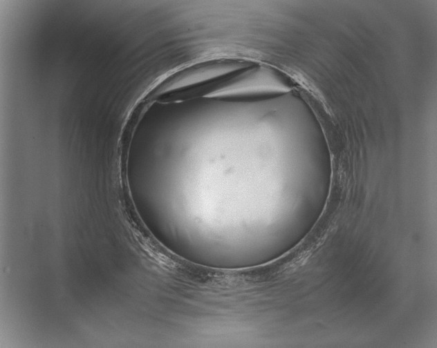 X0000074970877200609221820