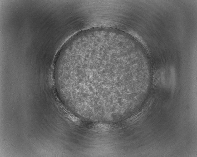 X0000074970878200609221820