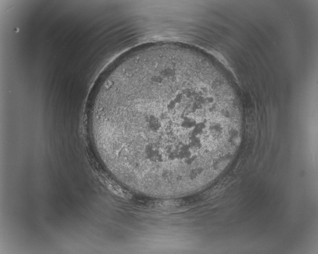 X0000074970879200609221820