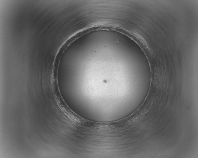 X0000074970880200609221820