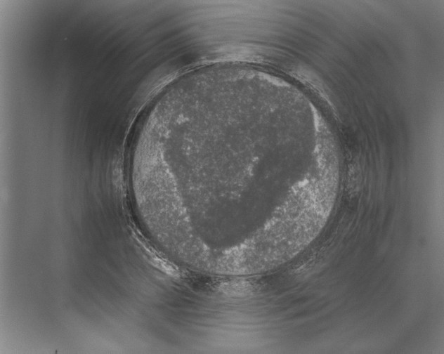 X0000074970882200609221820