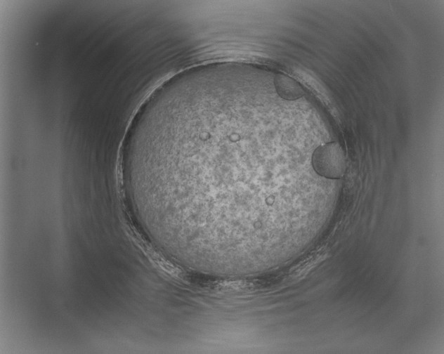 X0000074970883200609221820