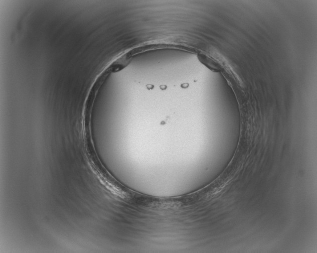 X0000074970884200609221820