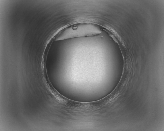 X0000074970885200609221820