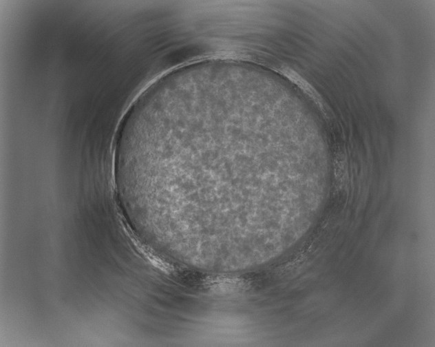 X0000074970886200609221820