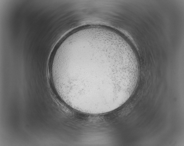 X0000074970887200609221820