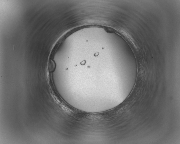 X0000074970888200609221820