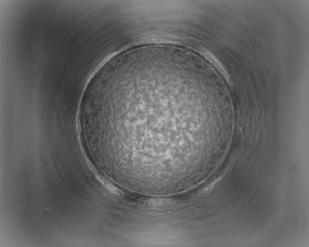 X0000074970893200609221820