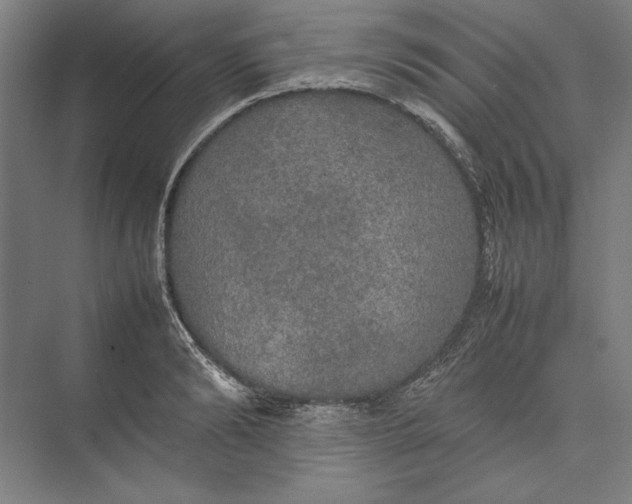 X0000074970894200609221820