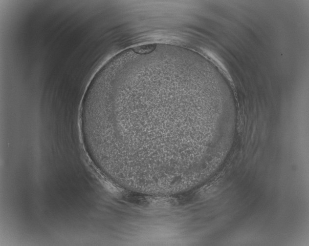 X0000074970899200609221820