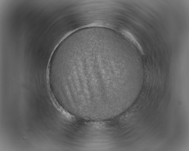 X0000074970900200609221820