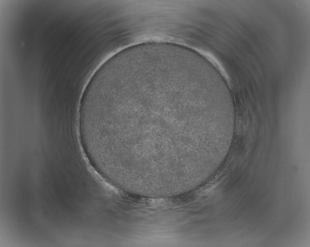 X0000074970903200609221820