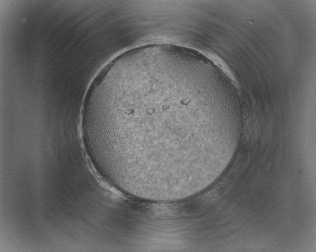 X0000074970904200609221820