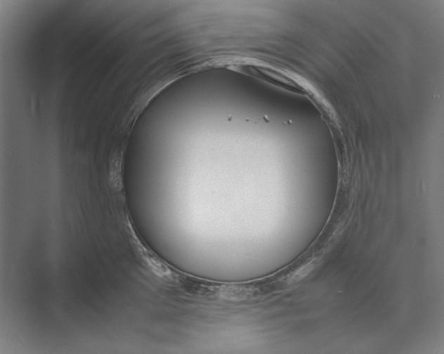 X0000074970905200609221820