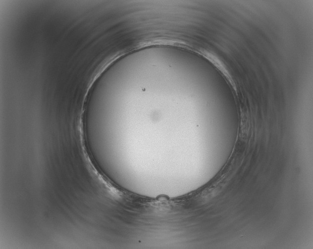 X0000074970906200609221820