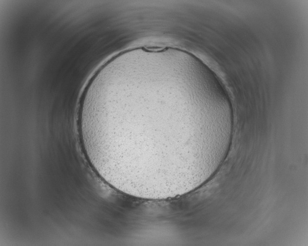 X0000074970912200609221820