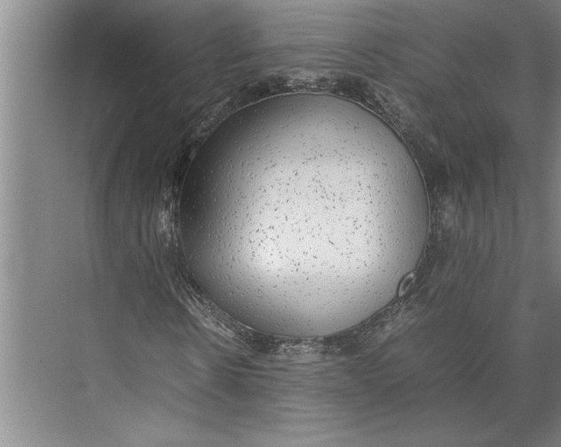 X0000074970914200609221819