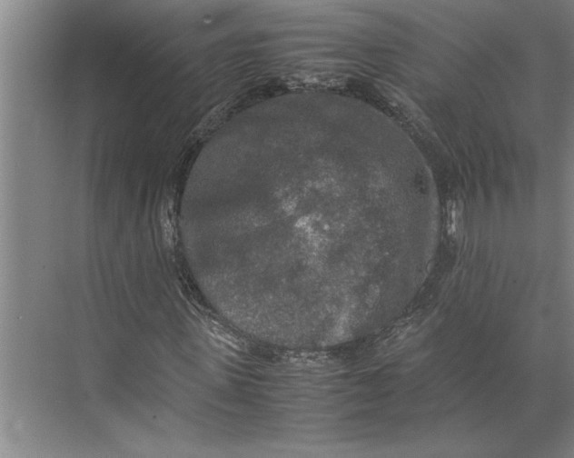 X0000074970915200609221819